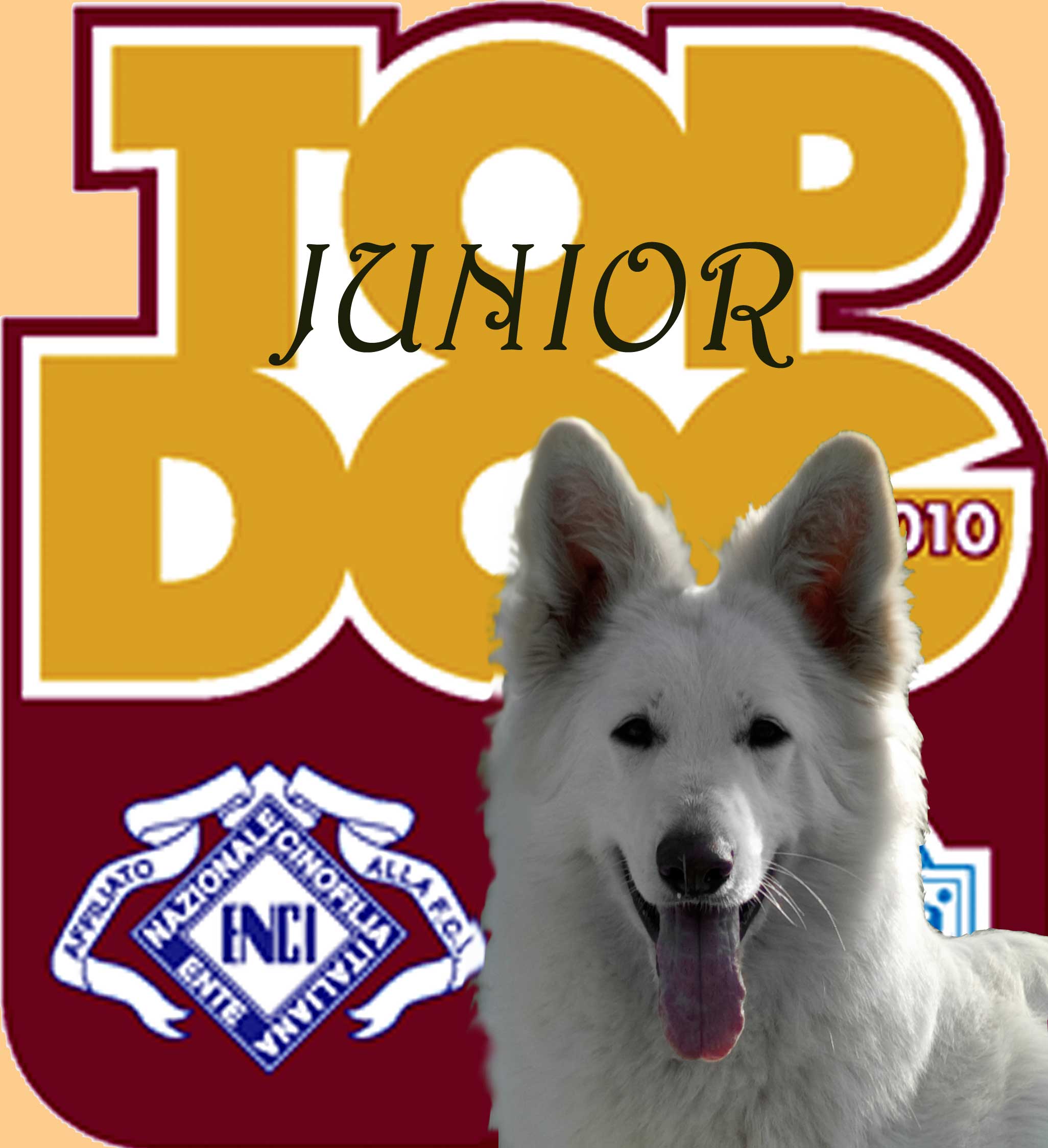logo_topdog2010ok.jpg