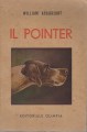 Il Pointer e i suoi predecessori