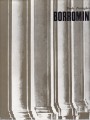 Borromini architettura come linguaggio