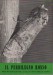Il perdilegno rosso (cossus cossus)