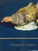 CERAMICHE INGLESI (Faenze, ceramiche, grès, porcellane)
