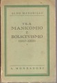 TRA MANICOMIO E BOLSCEVISMO ( 1917 1920)