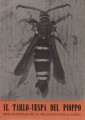 Il tarlo vespa del pioppo (sciapteron tabaniforme)