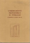 L'insediamento protostorico di Pitigliano campagne di scavo 1982-83