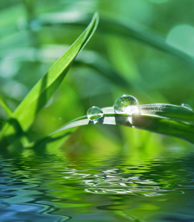 Fotolia_8991642_S.jpg Fotolia_8991642_S.jpg