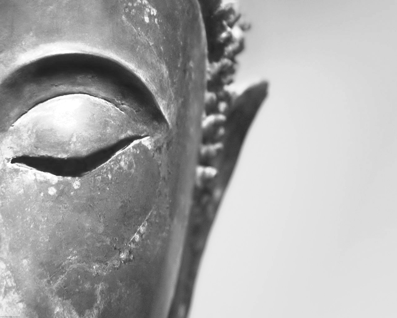 buddha-bn.jpg buddha-bn.jpg