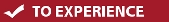 SCRIPTexperience.jpg